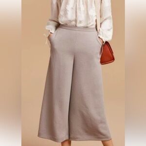 Aritzia Wilfred Women High Rise Lalement Culottes Wide Leg Crop Pants Size 2
